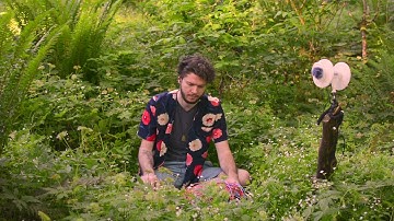 Forest Floor - Synthetic Birdsong, Eurorack Synth, Binaural Field Recording