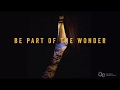 Newgrange winter solstice trailer