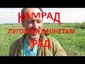 Копаем луга!Хабар есть!