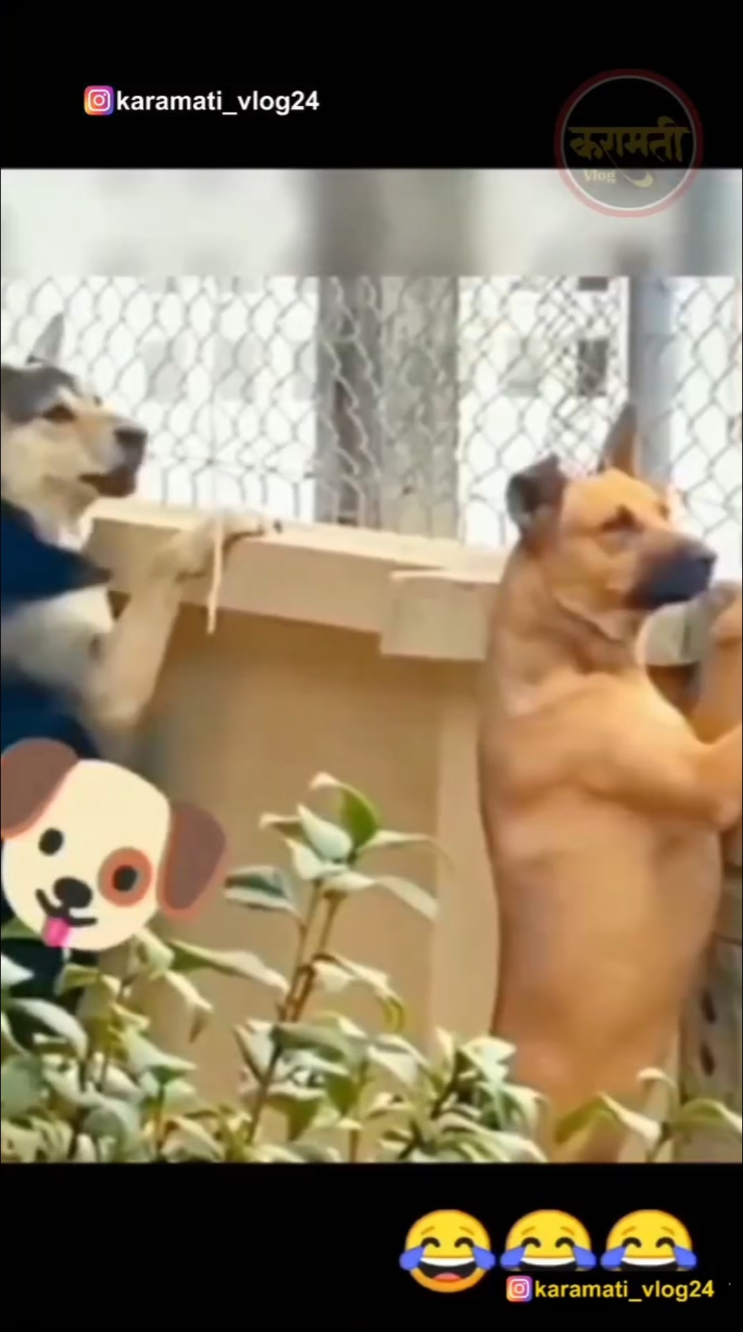 😆हास्य व्हिडीओज🎥 - ShareChat