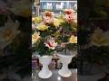 Flowers Tree #shorts #viral #viralvideo #reels #flowers #tree #trending