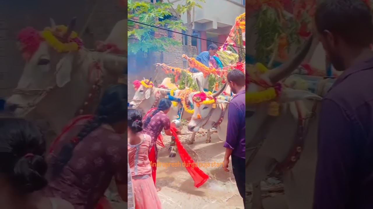 andrapresh durga puja start jay maa di