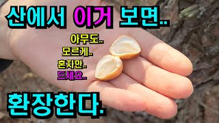 여러분! 이거 완전 인생 대박!