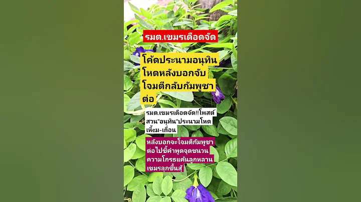 #remix #dj #edm #music #sound #automobile #plants #colonelkkjϟ #thaifood #mindset