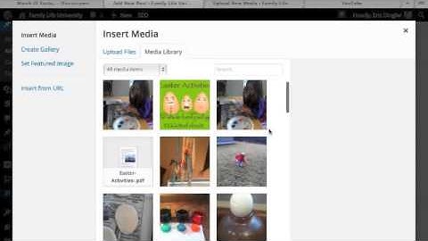 FreedCamp to Wordpress Workflow Spring 2014