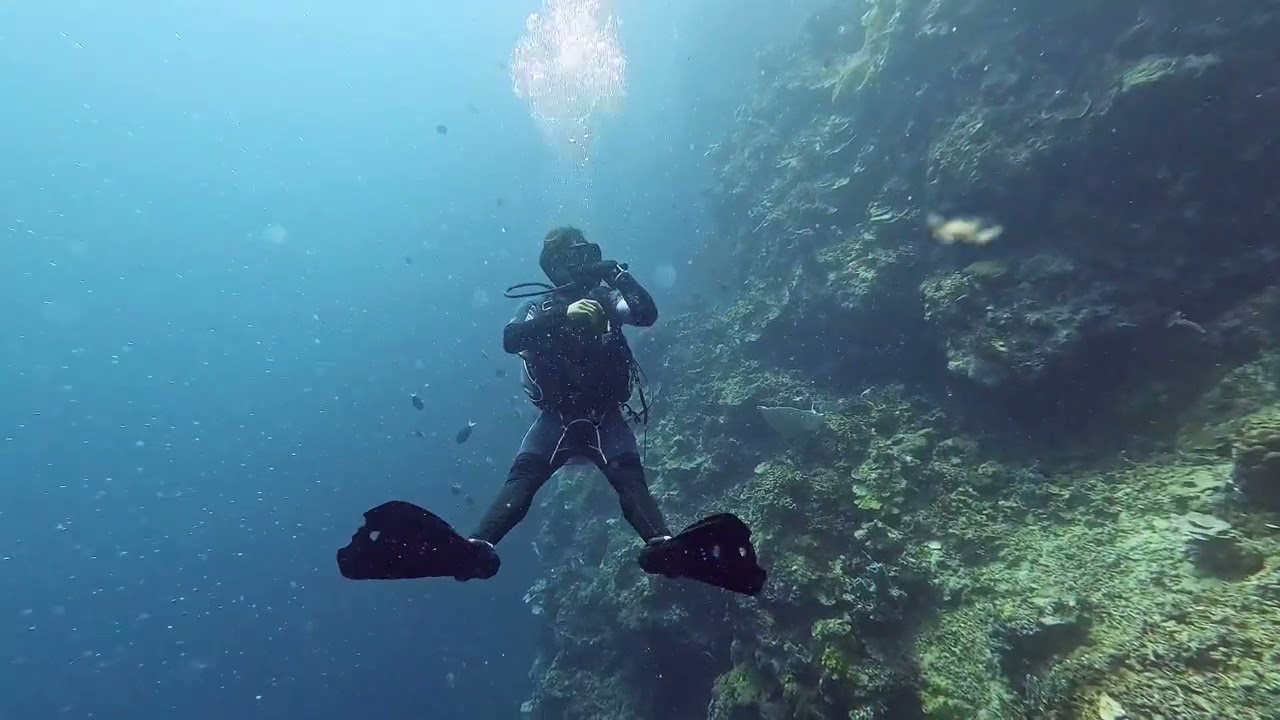 Divetrip to Menjangan Island Directorscut 4K