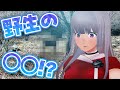 【祝バンジー】埼玉旅行振り返り #六道冥