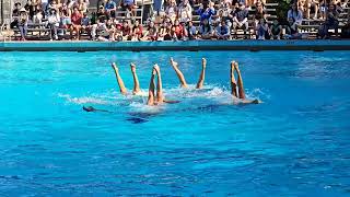 Amazing Performance By Usa Artistic Swimming - Road To Panams