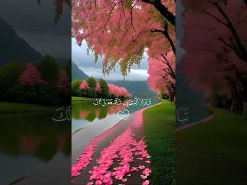 أرح سمعك ستوريات انستا قران كريم ايات قرانية قصيرة حالات واتس قران صوت القارئ عبدالرحمن مسعد