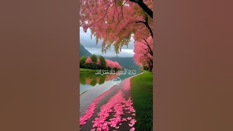 أرح سمعك 🤍🌿 ستوريات انستا قران كريم ايات قرانية قصيرة حالات واتس قران صوت #القارئ_عبدالرحمن_مسعد 🤍🌿