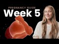 5 Weeks Pregnant | Week By Week Pregnancy