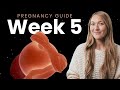 5 Weeks Pregnant | Week By Week Pregnancy