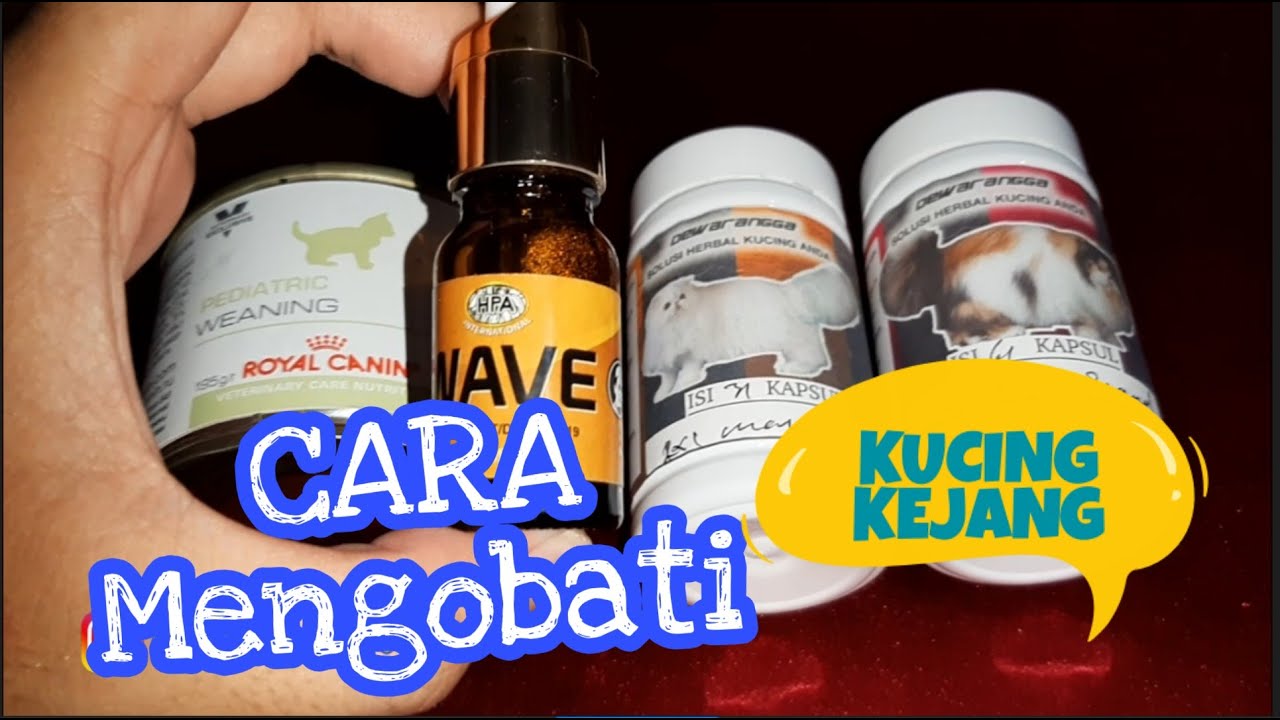 Cara Mengobati Kucing Kejang | Review WAVE HPA dan Vitamin Herbal Dewa