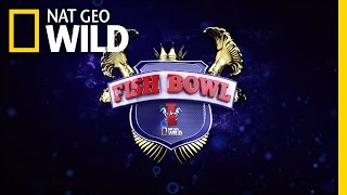 Fish Bowl App | Nat Geo Wild