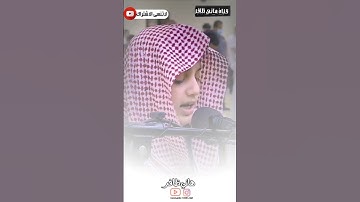"تلاوة مؤثرة لقارئ القرآن الكريم علي عبد السلام اليوسف - آية تدعو للثبات والإيمان بعد الهداية"