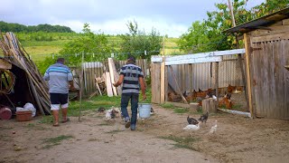 Распорядок дня в окружении природы: деревенская жизнь в Восточной Европе