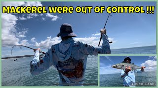 How to catch Spotted Mackerel with metal lures and Stewie catching 2 Spotties at once 😂