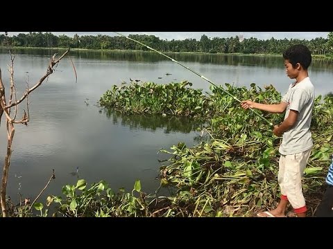 khmer net fishing 2017 Cambodia Fishing - Cambodian Traditional Fishing (part 3)