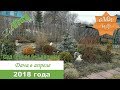 Сад сейчас без прекрас. Обзор дачи в апреле 2018 года.