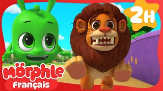 Le vrai lion et le lion vert | Morphle en Français | Dessins Animés Pour Enfants