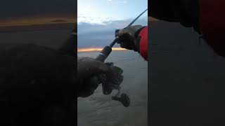 ΣΤΑ ΚΑΦΕ ΝΕΡΑ ΕΙΝΑΙ ΤΑ ΚΑΛΑ #ψάρεμα #fishing #fish #λαβράκι #seabass #seabassfishing