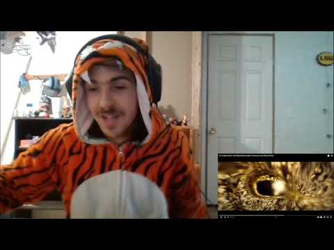 THE HUNGER GAMES: The Ballad of Songbirds & Snakes TRAILER REACTION!!