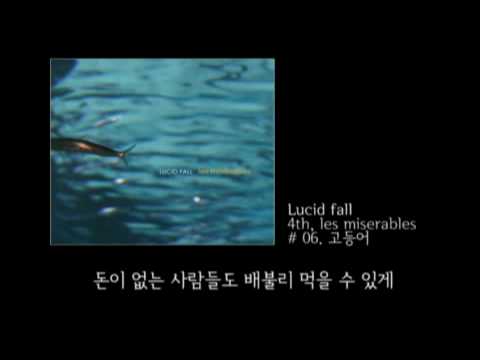 (+) 고등어-Lucid fall