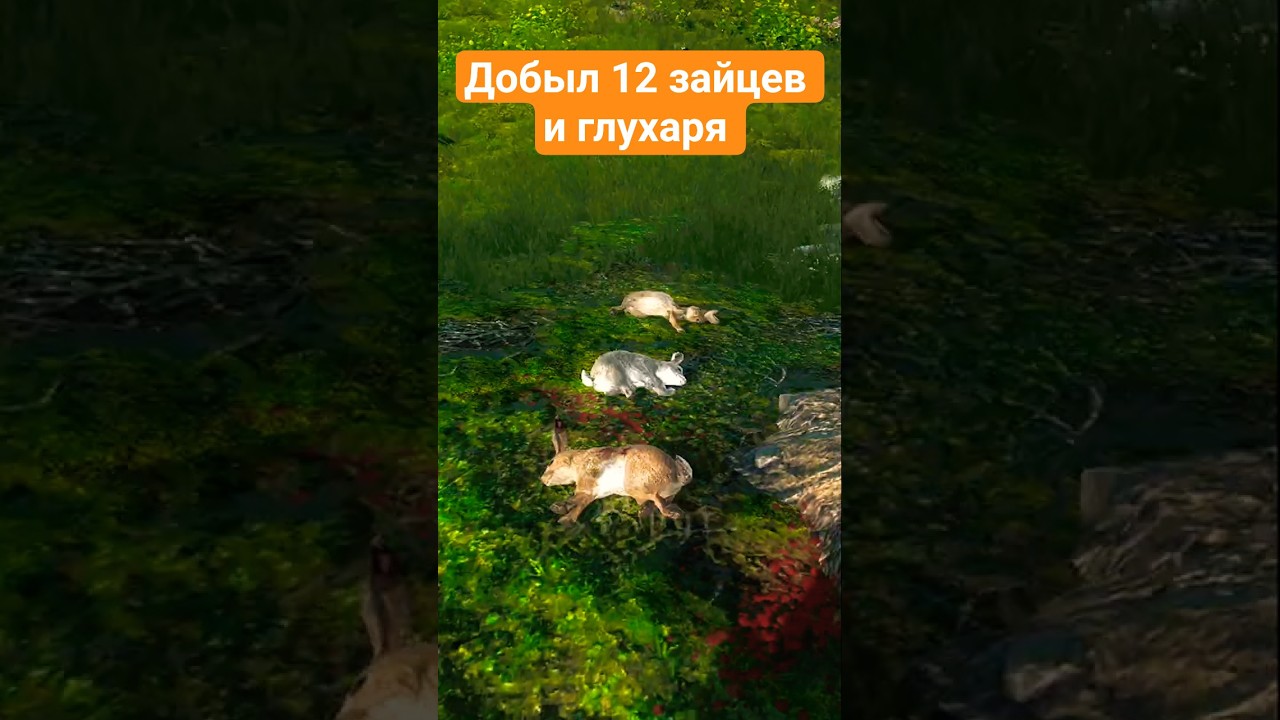 Добыл 12 Зайцев И Глухаря В Одном Месте The Hunter Classic  