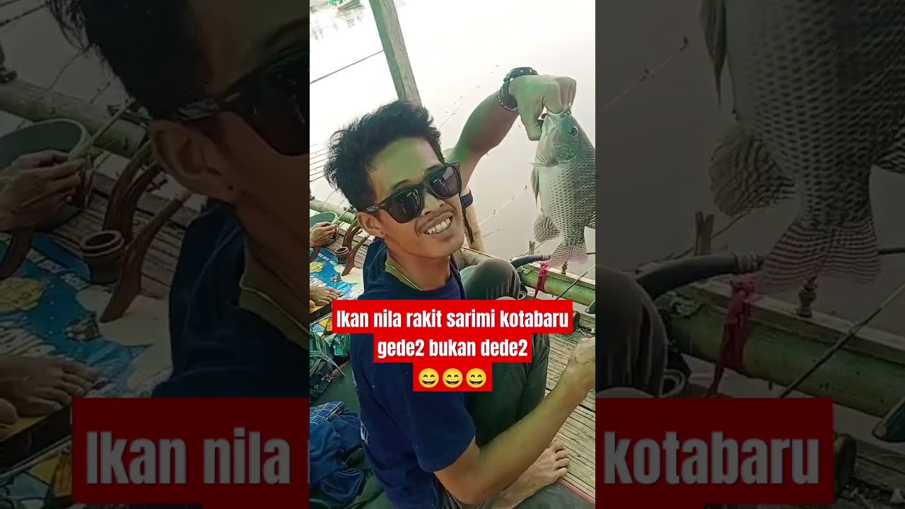 ikan nila rakit sarimi gede2 bukan dede2😄😄😄‼️ 