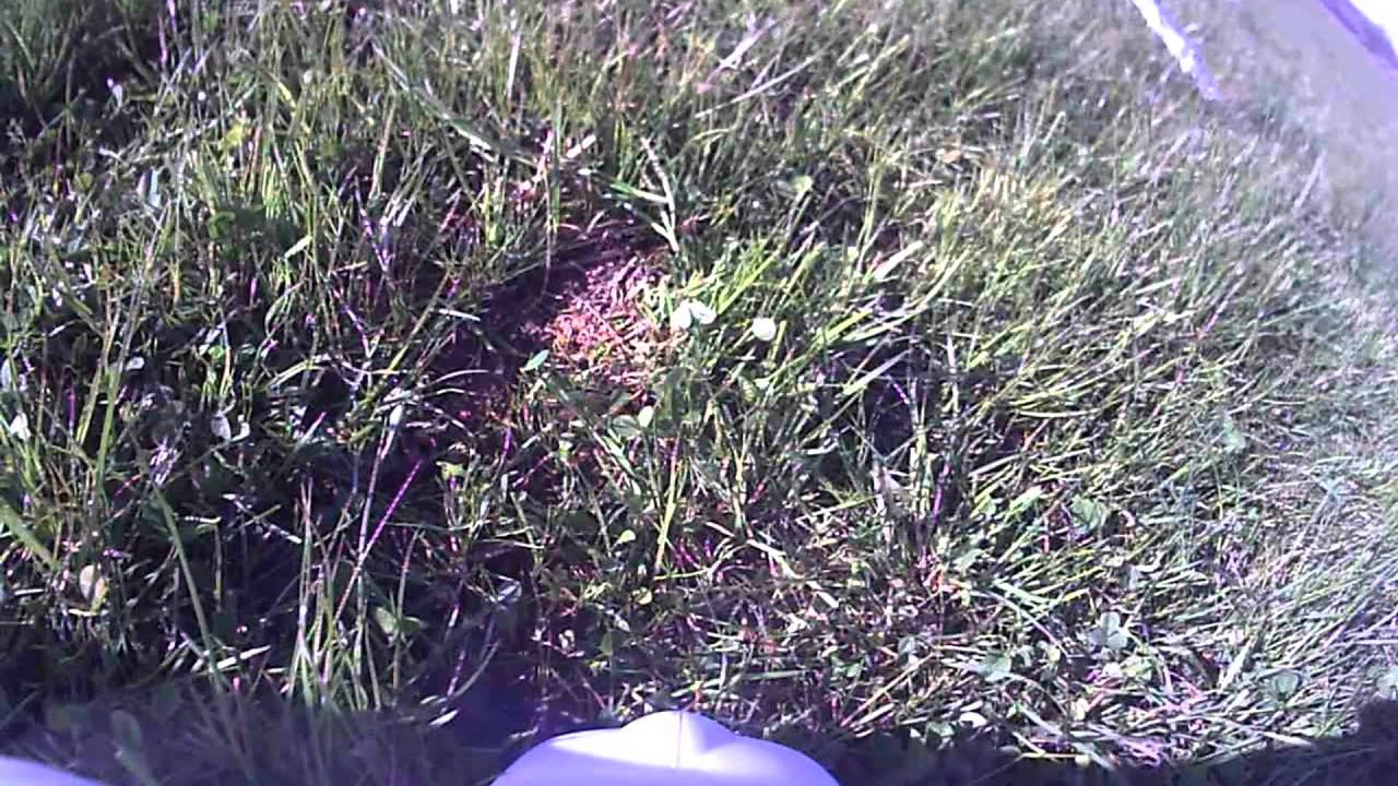 Esc fail in rc plane