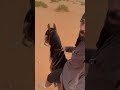 بركان Borkan بركان Borkan