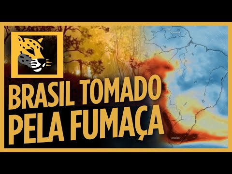 GOVERNO DE LULA TRANSFORMA O AR EM FUMAÇA | Cortes do @PartidoMissao