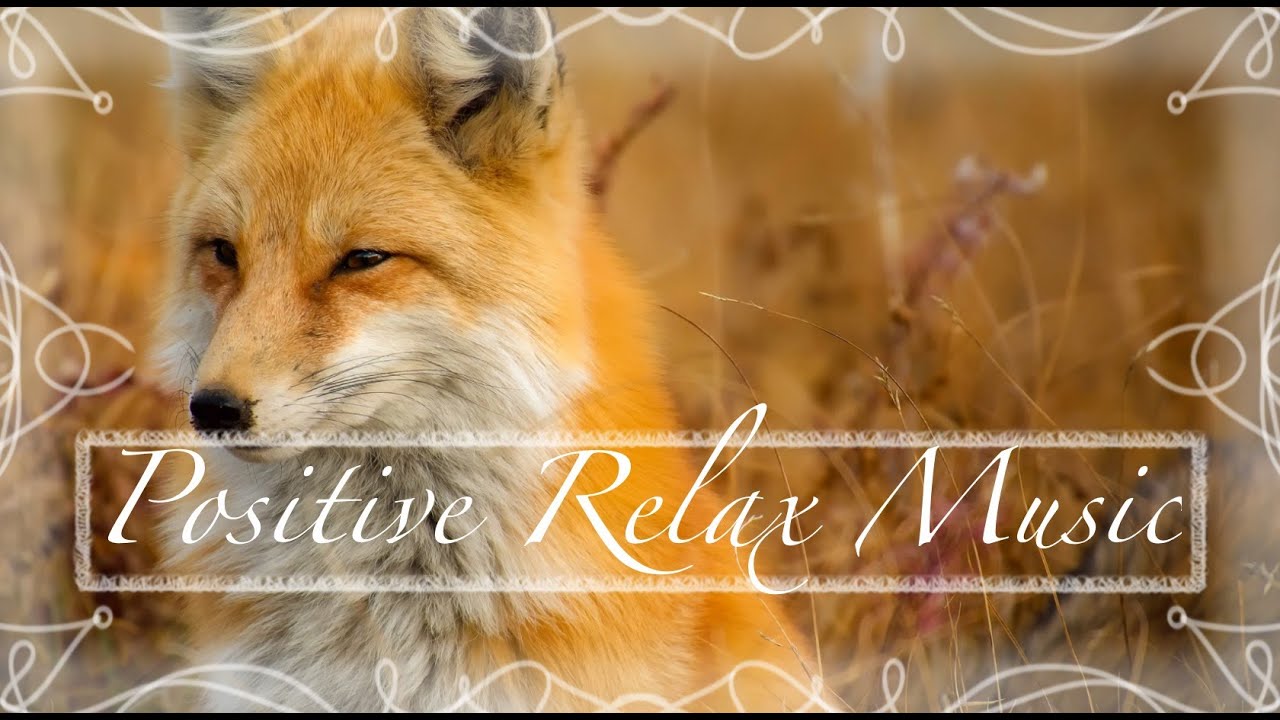 Relax Music With Guitar And Wood Xylophone 🙏 Relaxing Xylophone Music For Stress Relief