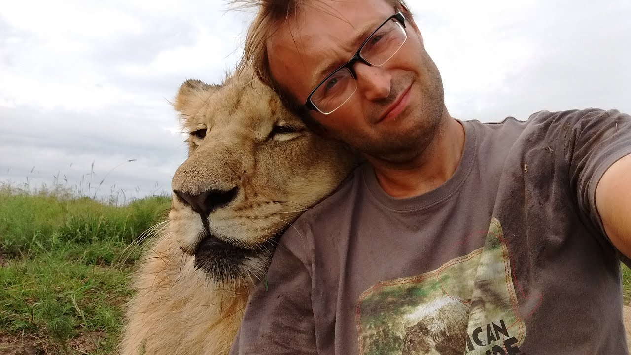 The Story of Living With Lions YouTube