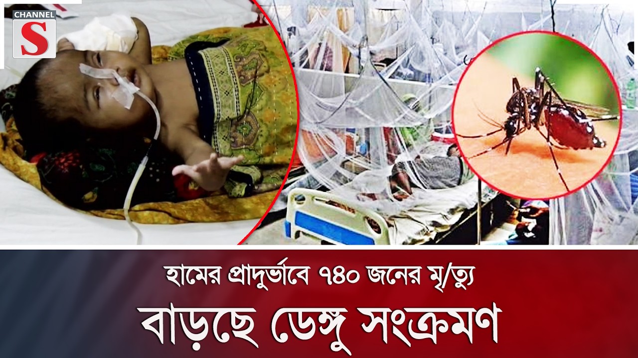 হামের প্রাদুর্ভাবে ৭৪০ জনের মৃ/ত্যু, বাড়ছে ডেঙ্গু সংক্রমণ | Channel S News