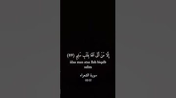 كرومات شاشه سوداء|ولا تخزني يوم يبعثون #القارئ احمد النفيس #قران_كريم #تلاوة_خاشعة