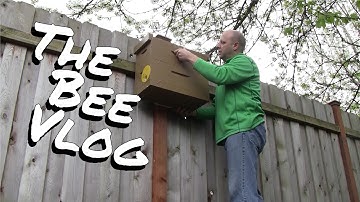 Swarm traps are done - Bee Vlog #127 - Apr 5, 2014
