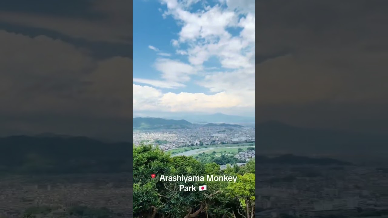 Arashiyama Monkey Park is an amazing lookout point to view all of Kyoto! 