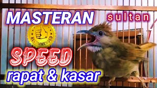 Masteran kapas tembak speed rapat