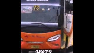 AYO NAIK BIS HARYANTO (Po.Haryanto)