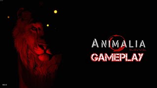Animalia-testing and gameplay