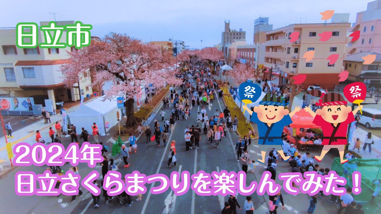 《日立市》2024年 日立さくらまつりを楽しんでみた🌸