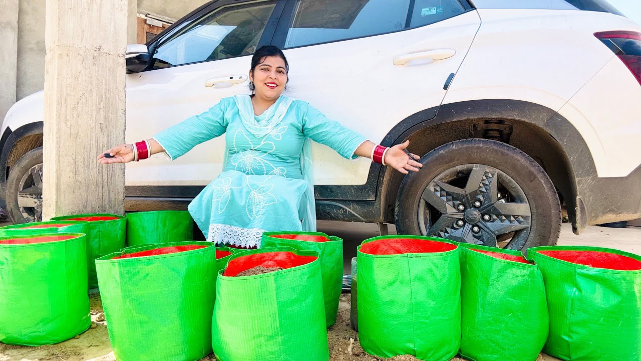 Winter me kon kon se vegetable lgani chahiye || Home Gardening kaise kare || Grow bags