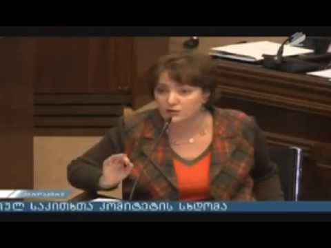 თინათინ ხიდაშელი იურიდიულ საკითხთა კომიტეტის სხდომაზე