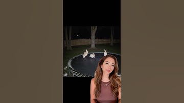 Viral Bunny Trampoline Video? 🐇🎥 Here’s Why It’s AI Fake