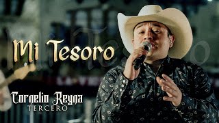 Cornelio Reyna Tercero - Mi Tesoro (En Vivo)