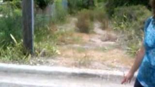 Body Found In Riviera Beach Alley