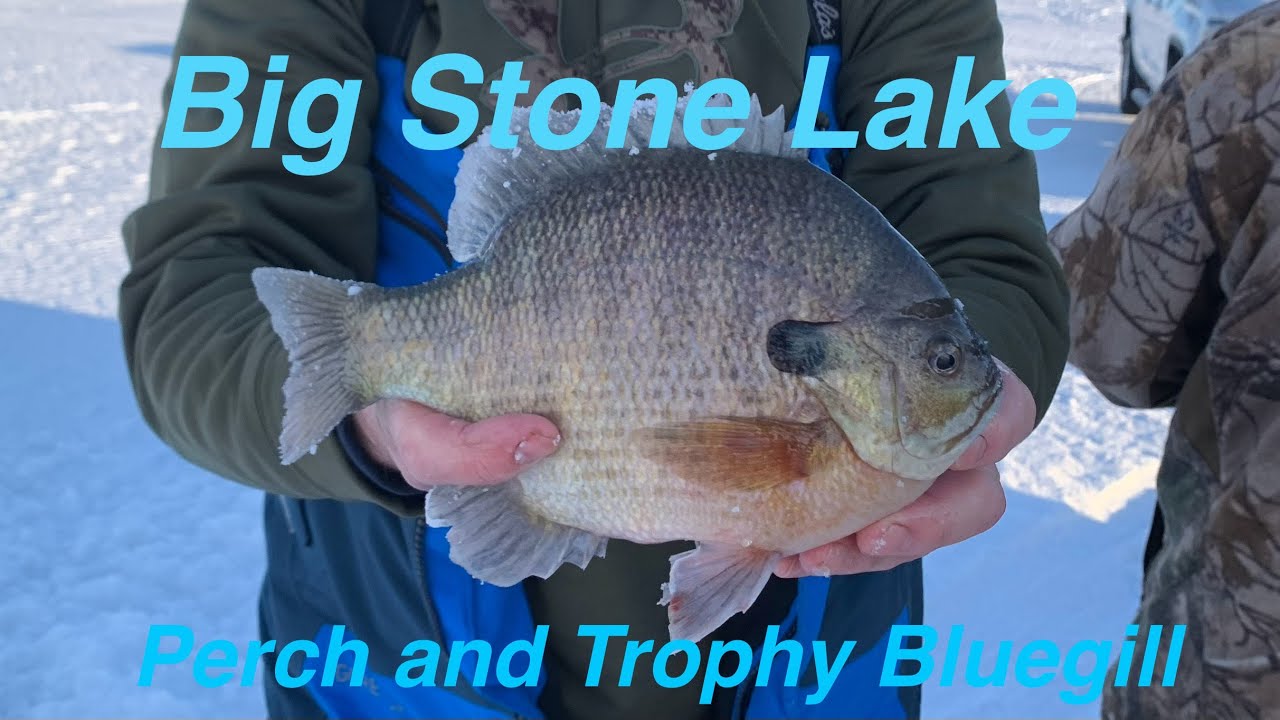 Big Stone Lake Seasonal Ice Fishing Patterns (Perch and Big Bluegill