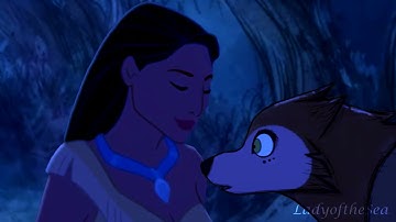 Running with the wolves - MEP part