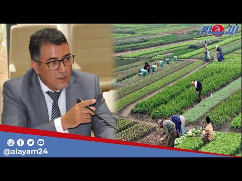 حموني مشى لينا لماء ديالنا ورجعنا لمغاربا عبيد بسبب مخطط المغرب الأخضر